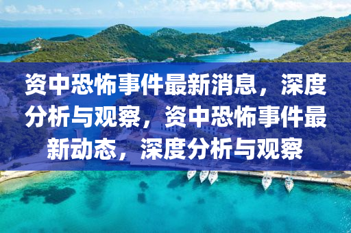 資中恐怖事件最新消息，深南充市鑫正商貿有限公司度分析與觀察，資中恐怖事件最新動態，深度分析與觀察