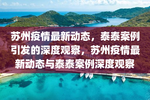 蘇州疫情最新動態(tài)，泰泰案例引發(fā)的深度觀察，蘇州疫情最新動態(tài)與泰泰案例深度觀察南充市鑫正商貿(mào)有限公司