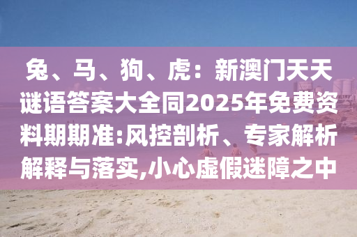 兔、馬、狗、虎：新澳門天南充市鑫正商貿有限公司天謎語答案大全同2025年免費資料期期準:風控剖析、專家解析解釋與落實,小心虛假迷障之中