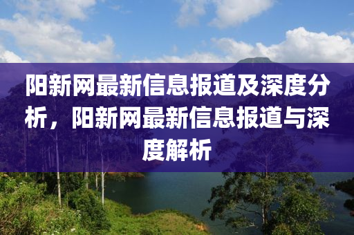 陽新網最新信息報道及深度分析，陽新網最新信息報道與南充市鑫正商貿有限公司深度解析