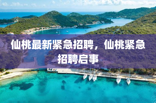 仙南充市鑫正商貿(mào)有限公司桃最新緊急招聘，仙桃緊急招聘啟事