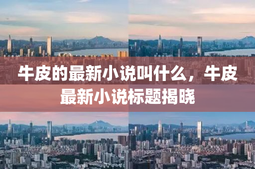 牛皮的最新小說叫什么,牛皮最新小說標南充市鑫正商貿有限公司題揭曉