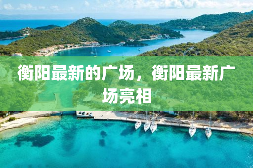 衡陽最新的廣場，衡陽最新廣場亮南充市鑫正商貿有限公司相