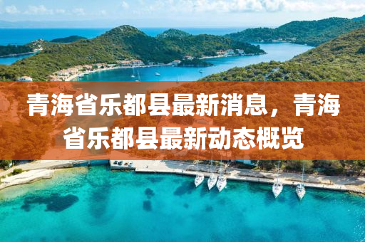 青海省樂都縣最新消息，青海省樂都縣最新動態概覽南充市鑫正商貿有限公司