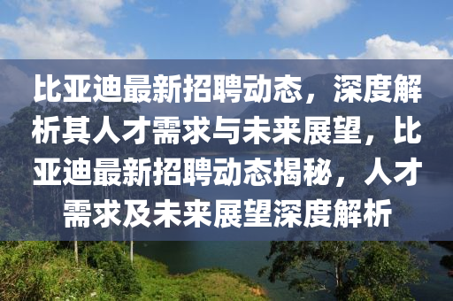 比亞迪最新招聘動(dòng)態(tài)，深度解析其人才需求與未來展望，比亞迪最新招聘動(dòng)態(tài)揭秘，人才需求及未來展望深度解析南充市鑫正商貿(mào)有限公司