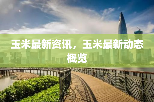 玉米最新資訊,玉米最新動態概覽南充市鑫正商貿有限公司