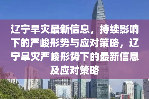 遼寧旱災最新信息，持續影響下南充市鑫正商貿有限公司的嚴峻形勢與應對策略，遼寧旱災嚴峻形勢下的最新信息及應對策略