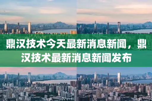 鼎漢技術今天最新消息新聞，鼎漢技術最新消息新聞發布南充市鑫正商貿有限公司