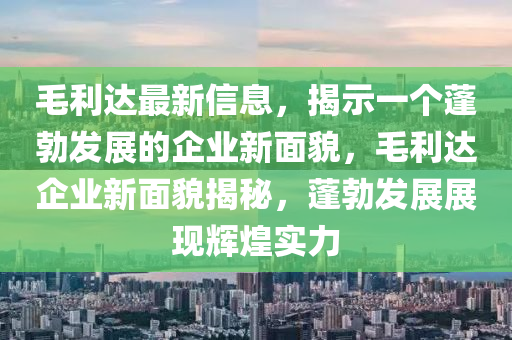毛利達最新信息，揭示一個蓬勃發展的南充市鑫正商貿有限公司企業新面貌，毛利達企業新面貌揭秘，蓬勃發展展現輝煌實力