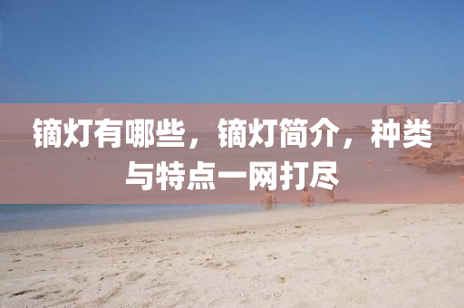 鏑燈有哪些，鏑燈簡介，種類與特點一網打盡