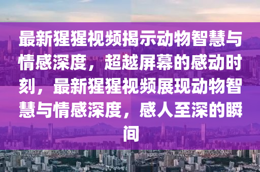 最新猩猩視頻揭示動物智慧與情感深度，超越屏幕的感動時刻，最新猩猩視頻展現動物智慧與情感深度，感人至深的瞬間