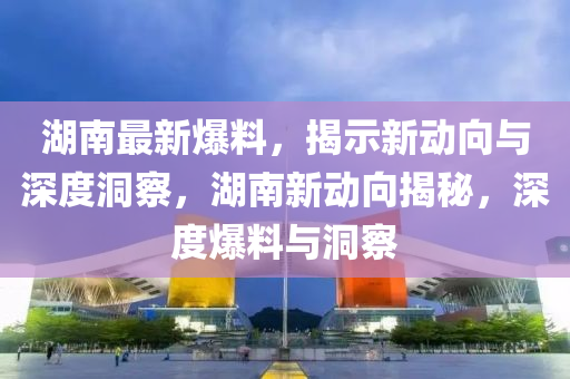 湖南最新爆料，揭示新動向與深度洞察，湖南新動向揭秘，深度爆料與洞察南充市鑫正商貿有限公司