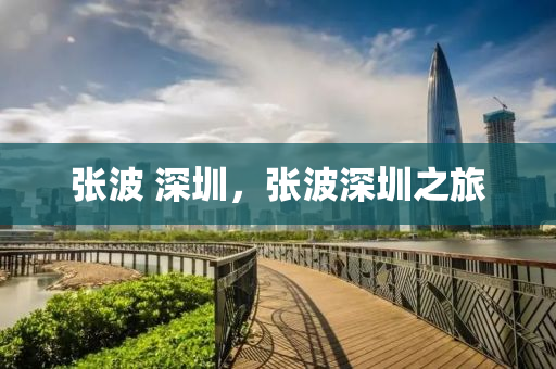 張波 深圳，張波深圳之旅南充市鑫正商貿(mào)有限公司
