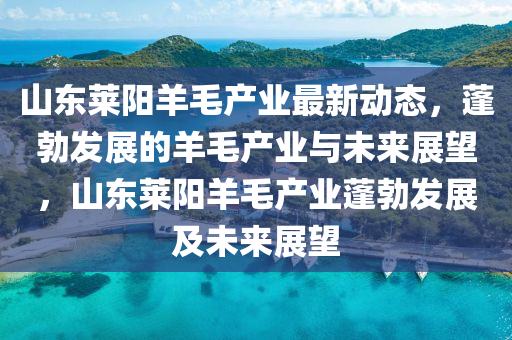 山東萊陽羊毛產業最新動態，蓬勃發展的羊毛產業與未來展望，山東萊陽羊毛產業蓬勃發展及未來展望南充市鑫正商貿有限公司