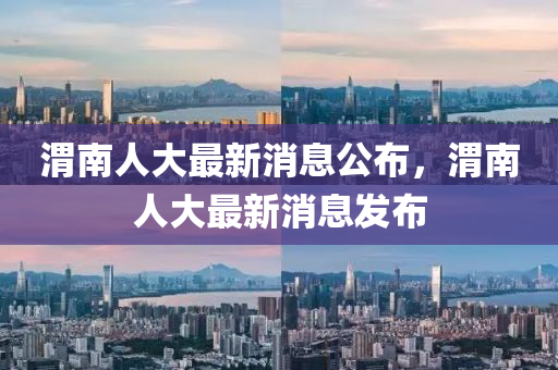 渭南人大南充市鑫正商貿有限公司最新消息公布，渭南人大最新消息發布