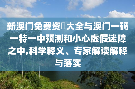 個人簡歷 第81頁