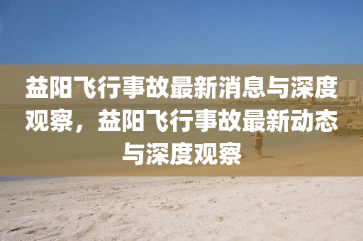 益陽飛行事故最新消息與深度觀察,益陽飛行事故最新動態(tài)與深南充市鑫正商貿(mào)有限公司度觀察