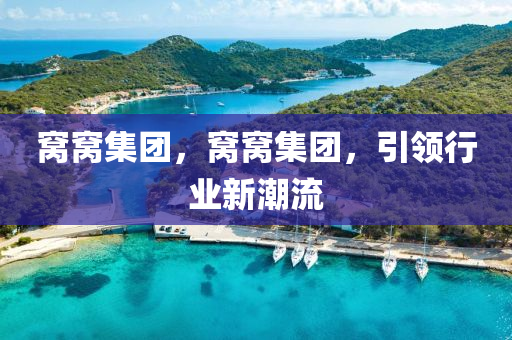 南充市鑫正商貿有限公司窩窩集團，窩窩集團，引領行業新潮流