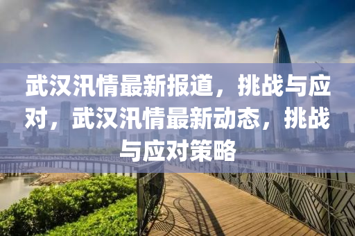 武漢汛情最新報道，挑戰(zhàn)與應(yīng)對，武漢汛情最新動態(tài)，挑南充市鑫正商貿(mào)有限公司戰(zhàn)與應(yīng)對策略