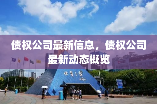 債權公司最新信息，債權公司最新動態概覽南充市鑫正商貿有限公司