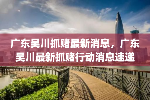 廣東吳川抓賭最新消息,廣東吳川最新抓賭行動消息速遞南充市鑫正商貿有限公司