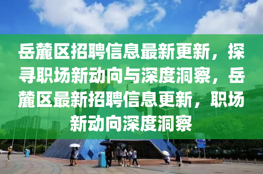 岳麓區招聘信息最新更新，探南充市鑫正商貿有限公司尋職場新動向與深度洞察，岳麓區最新招聘信息更新，職場新動向深度洞察