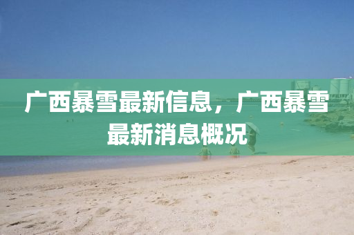 廣西暴雪最新信息，廣西暴雪最新消息概況南充市鑫正商貿有限公司