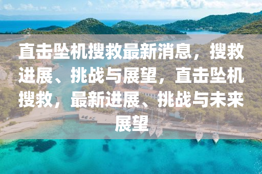 直擊墜機搜救最新消息,搜救進展、挑戰與展望,直擊墜機搜救,最新進展、挑戰與未來展望南充市鑫正商貿有限公司